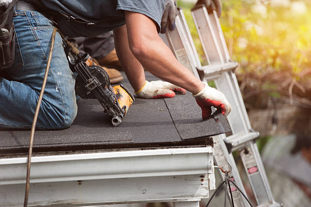 Best Roof Gutter Cleaning  in Regency At Monroe, NJ