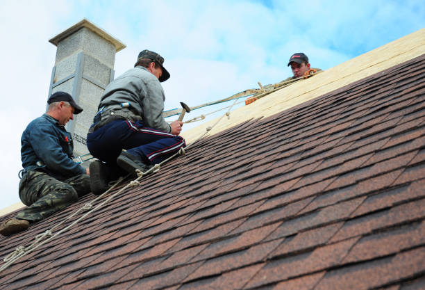Roof Gutter Cleaning in Regency At Monroe, NJ